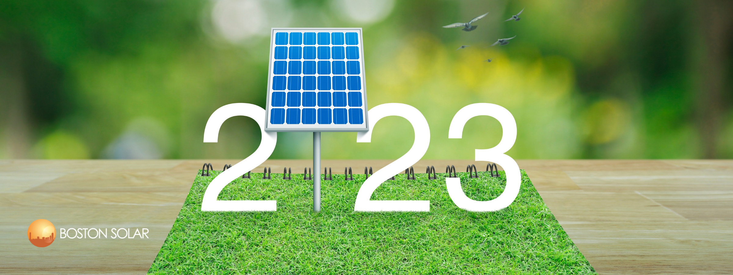 Why 2023 Is the Year to Go Solar in Massachusetts