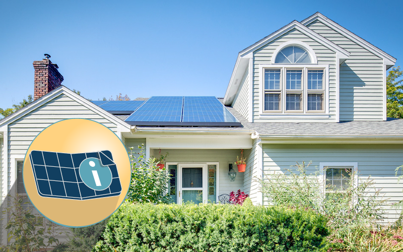 Not All Solar Companies are Equal: How to Choose the Right One