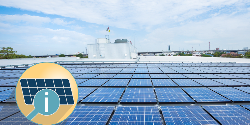 Environmental Reasons Your Business Should Invest in Solar