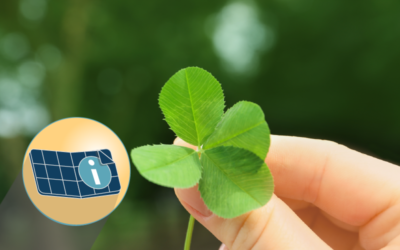 5 Green Facts About Solar For St. Patrick's Day